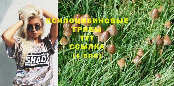 марки lsd Алексеевка